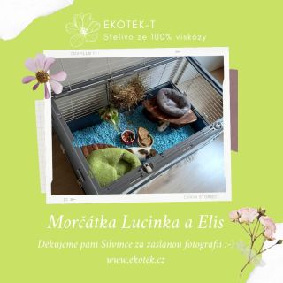 Stále nám zasíláte fotografie Vašich mazlíčků s podestýlkou Ekotek-T. My Vám moc děkujeme:-) Váš Ekotek-T. www.ekotek.cz